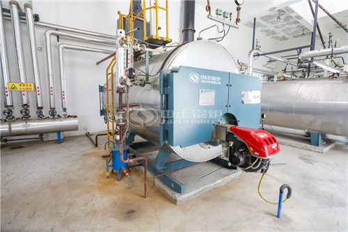 福建二十五噸燃油鍋爐