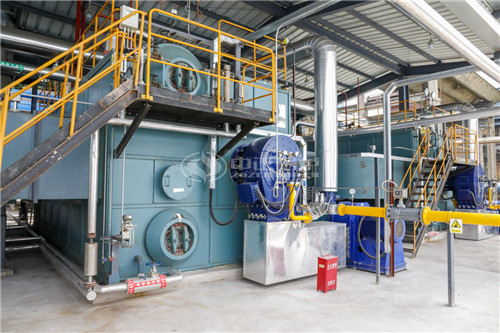 福建三十噸燃油鍋爐