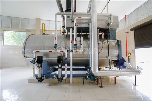 攀枝花6噸燃油鍋爐